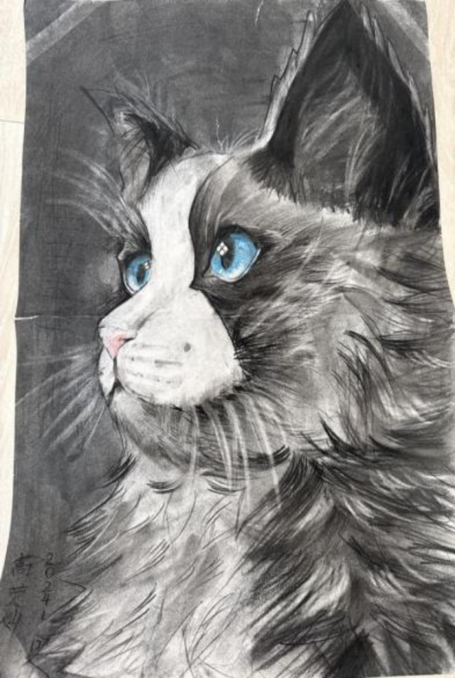 未下天下绸缪师