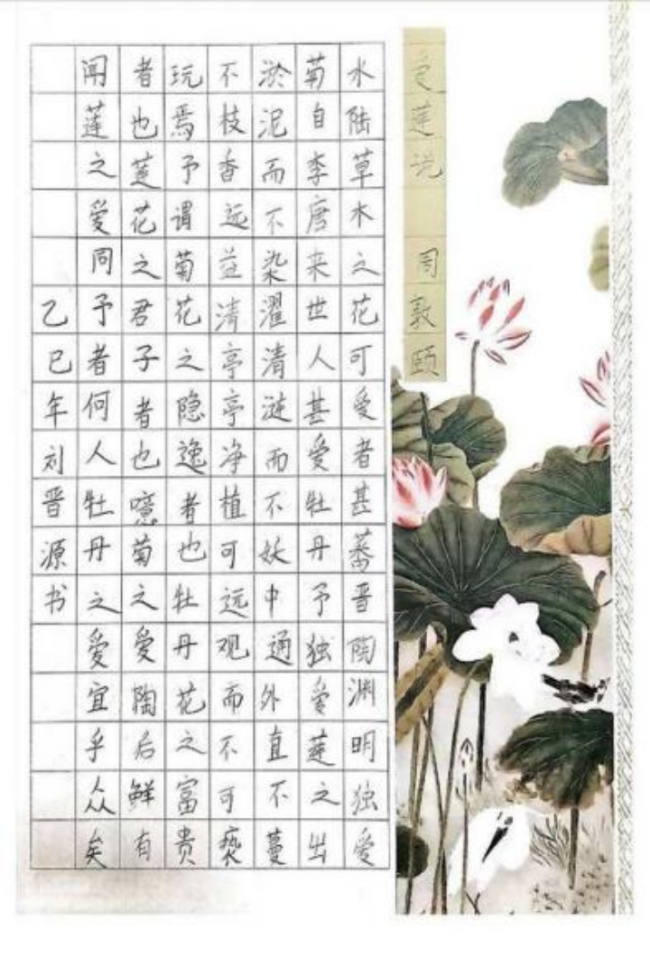 奇念念妙想博览会