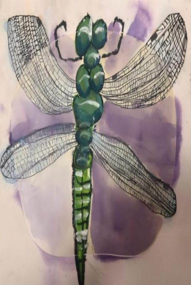 科学与艺术的彩虹桥