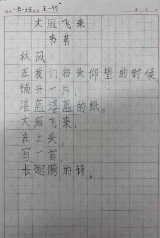 奇念念妙想博览会