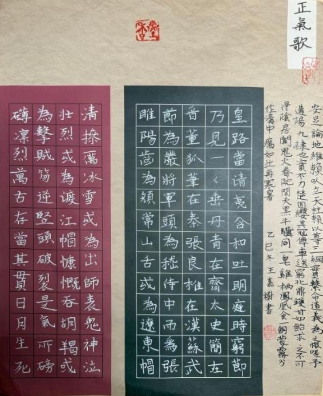 砚田栽种·初见风华