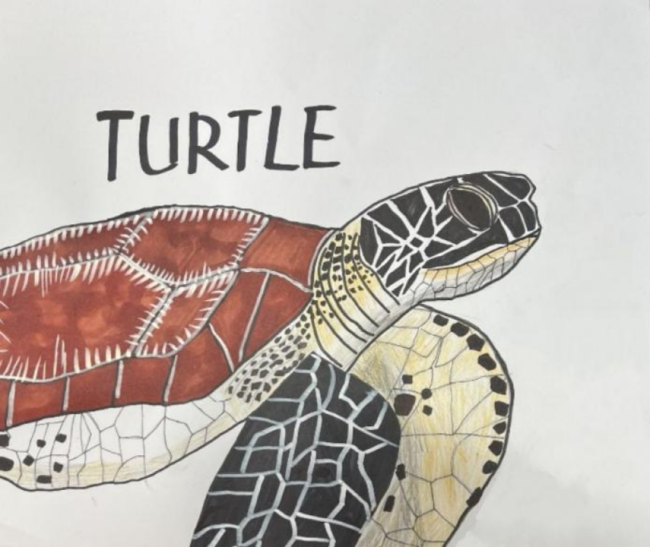 种下一颗科学的种子