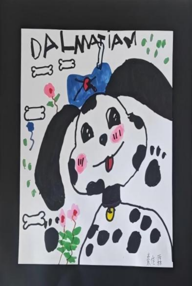 发现好意思的眼睛