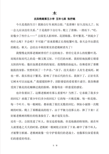 我的奇想妙想札记本