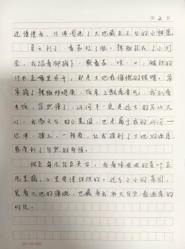 我的奇想妙想札记本