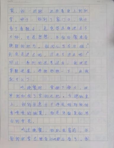 我的奇想妙想札记本