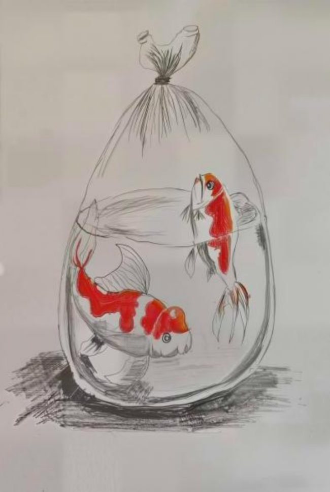 奇思妙想展览会