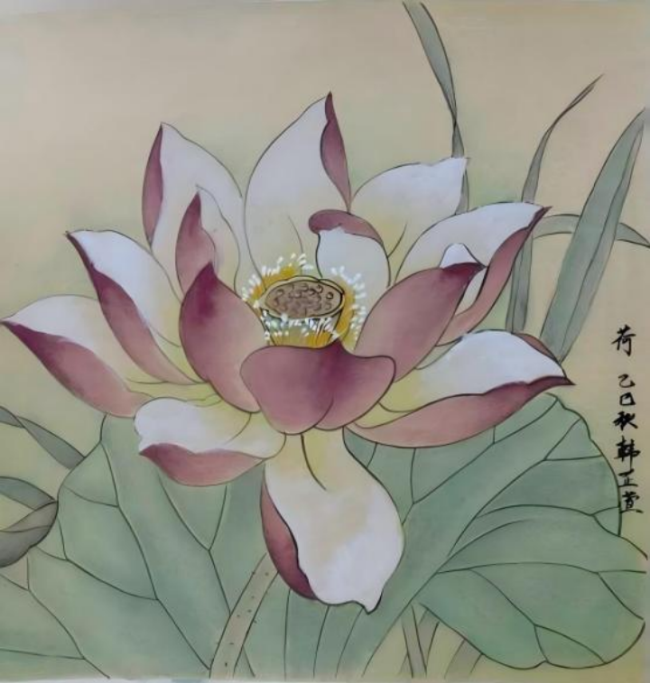 奇思妙想展览会