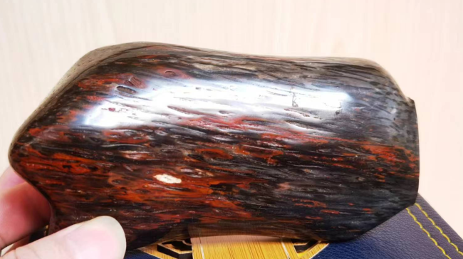 树化玉（植物舍利子宝石）科学与文化全面科普图文