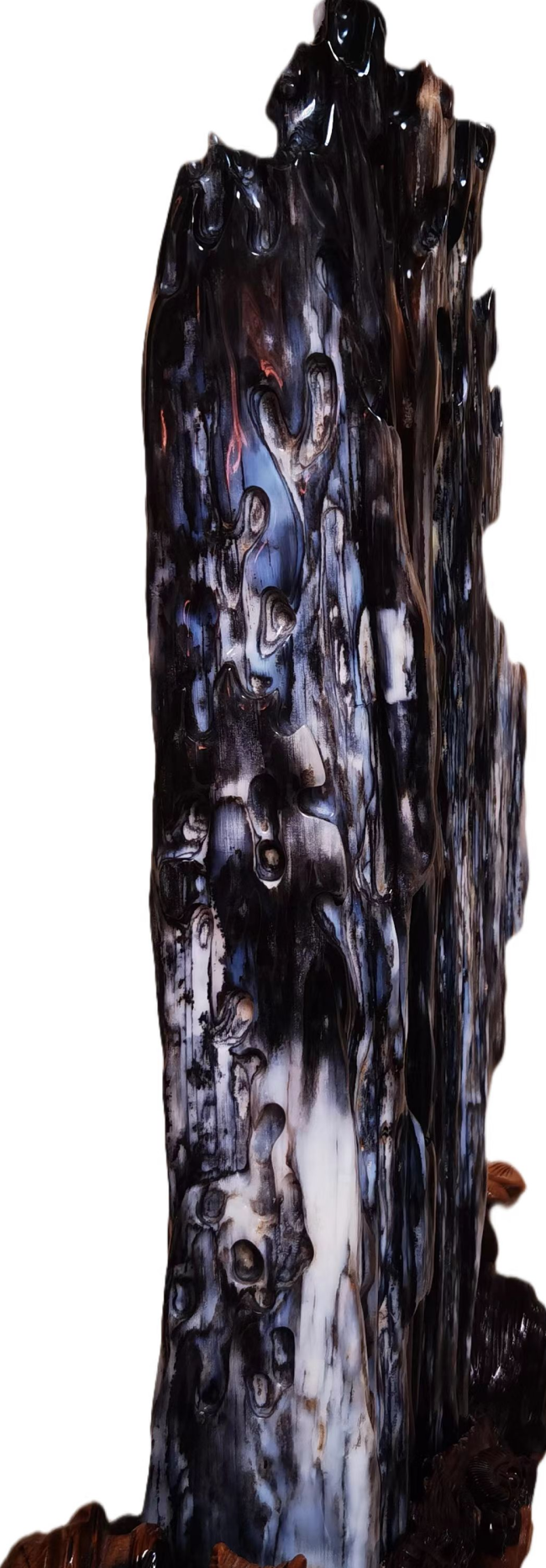 树化玉（植物舍利子宝石）科学与文化全面科普图文