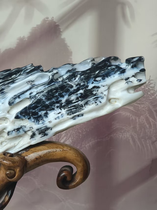 树化玉（植物舍利子宝石）科学与文化全面科普图文