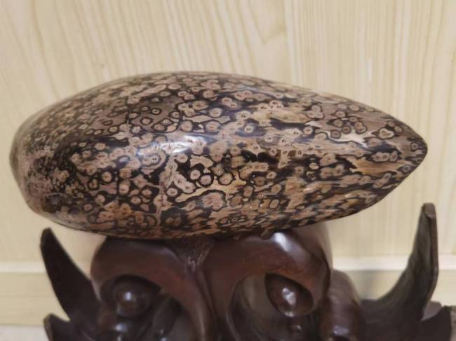 【中华名石典藏】：具有代表性中国名石的科学范式与文化阐释