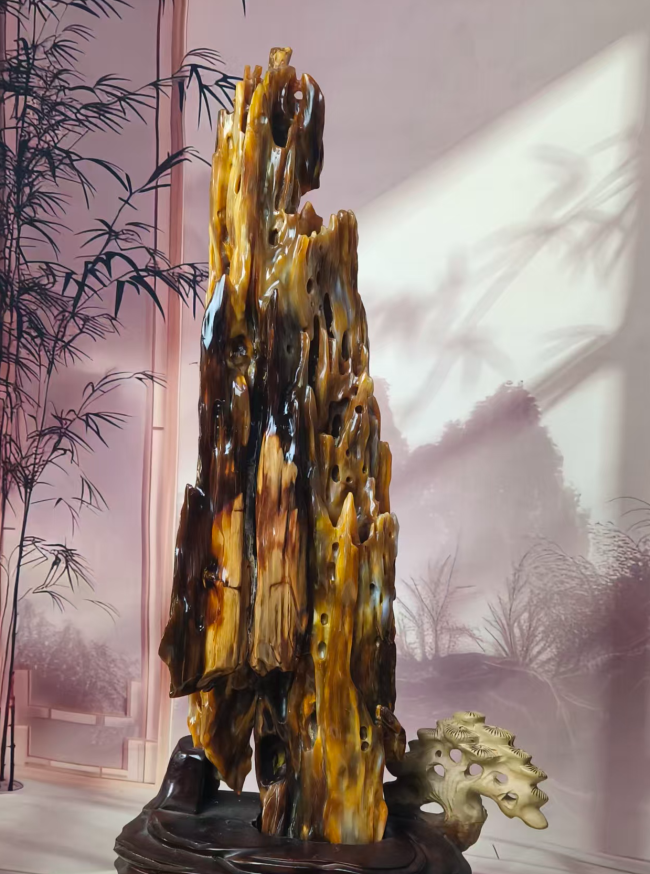 【中华名石典藏】听海观音（树化玉·植物舍利子宝石）