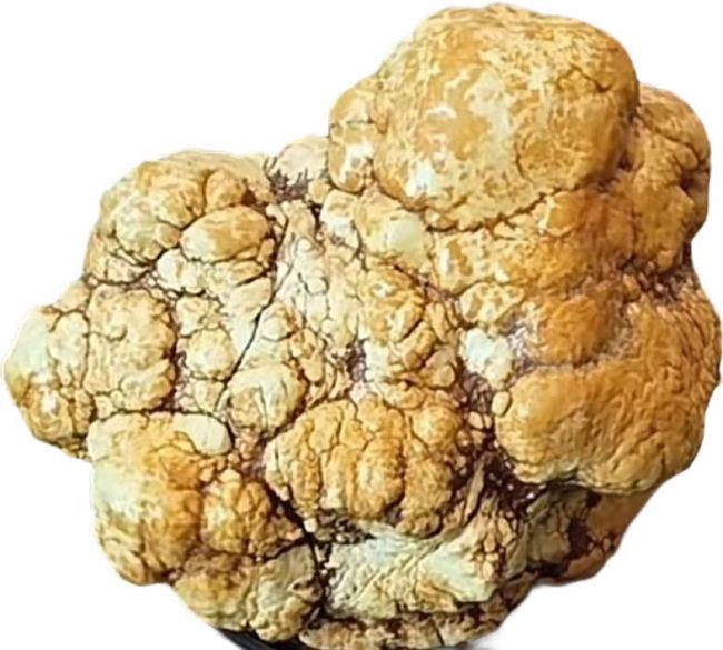 【奇石】中国奇石文化传播:新时代赏石体系标准与文化阐释