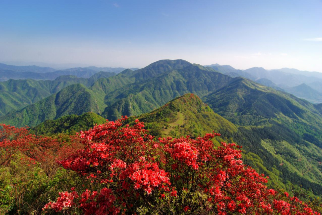 春遇旌德，寻梦皖南|皖南春色里的古镇、山水与茶香