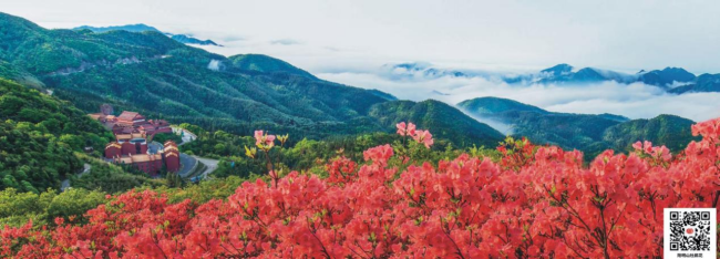 来双牌，赴一场山水之约，遇见四季皆景的人间秘境