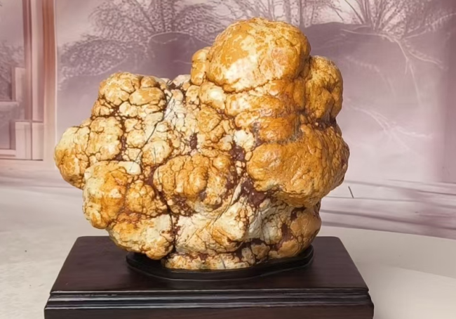 【名石典藏】《金獒守瑞》西藏丁青象牙玉籽料・藏獒象形奇石