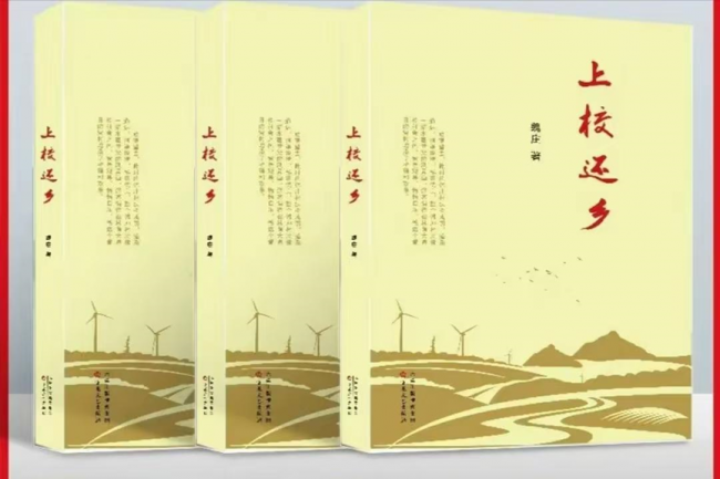 《上校还乡》：一部描摹退役军东说念主乡村振兴之路的深耕力作