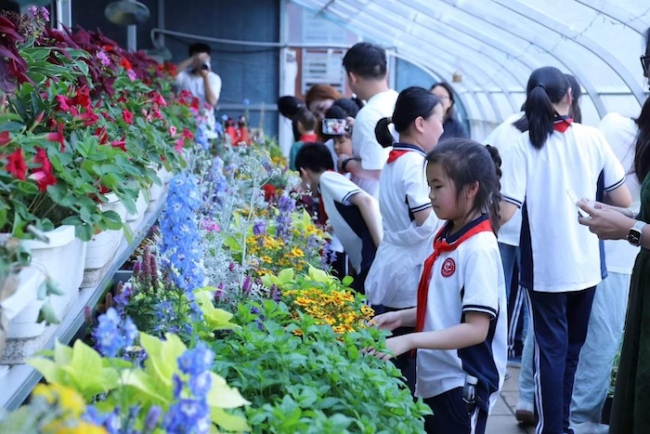 沁香润心·五感共育——北京市盲人学校芳香疗愈花园共育课堂正式启幕