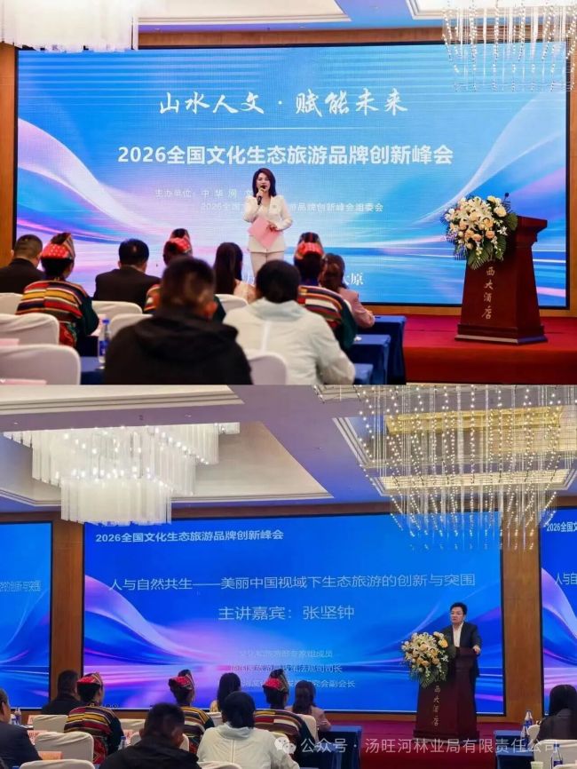 汤旺河林业局公司带队亮相全国文化生态旅游品牌创新峰会面向全国文旅市场精准推介