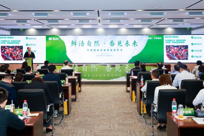 这个冬天“更过瘾”,让反季海南鲜活小龙虾治愈你的胃