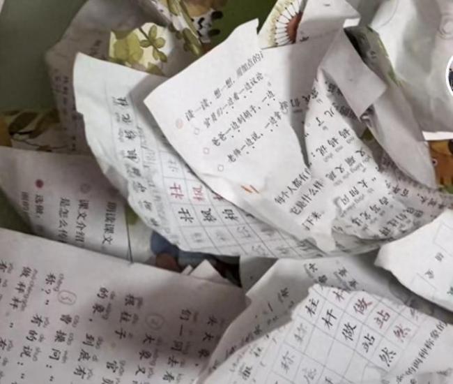 撕碎孩子教科书：崩溃妈妈背后有一个不负责任的爸爸