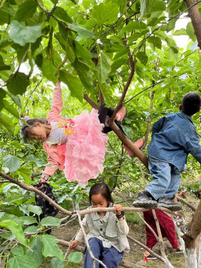 四年辗转三个国家四个城市,孩子上学怎么适应?