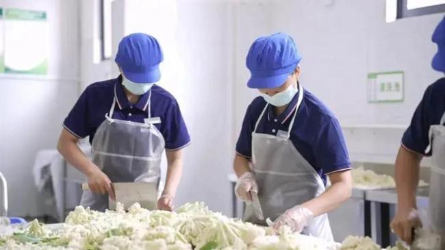 妈妈当学校食堂阿姨暖爆全网