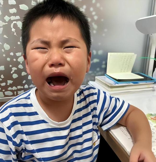 母亲偷拍“天才儿子”，网友劝她清醒