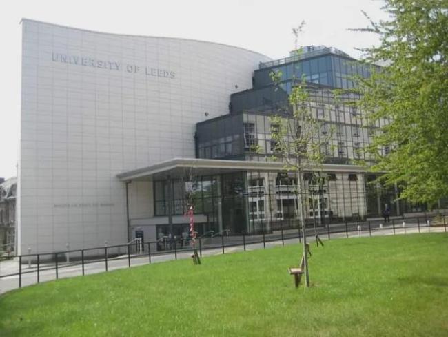 2025毕业的留学生真的是最惨的一届!