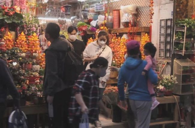 夫唱妇随！袁咏仪置办年货 张智霖开豪车当跟班