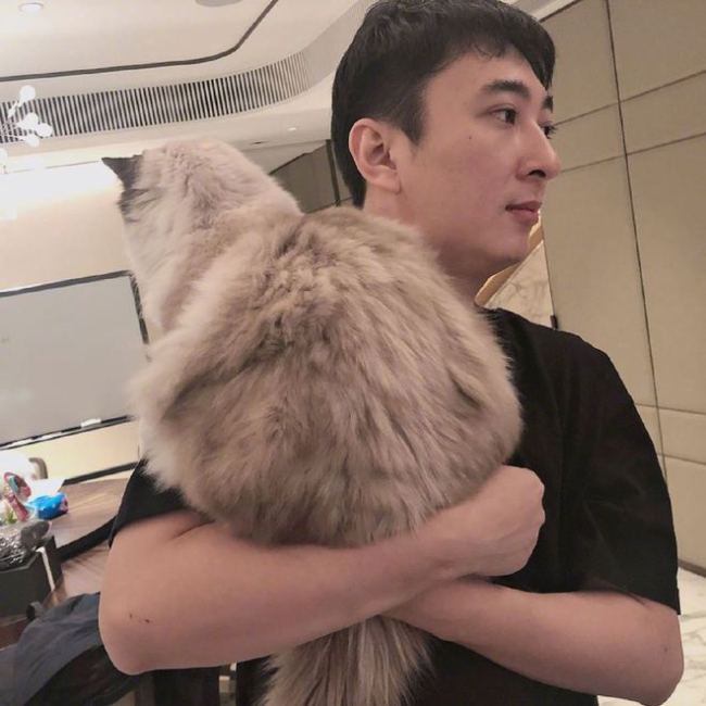 王思聪关联公司再成被执行人 执行标的超28万元