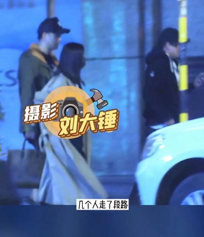 官宣离婚前 佟丽娅被拍深夜与仨帅哥出门遛弯