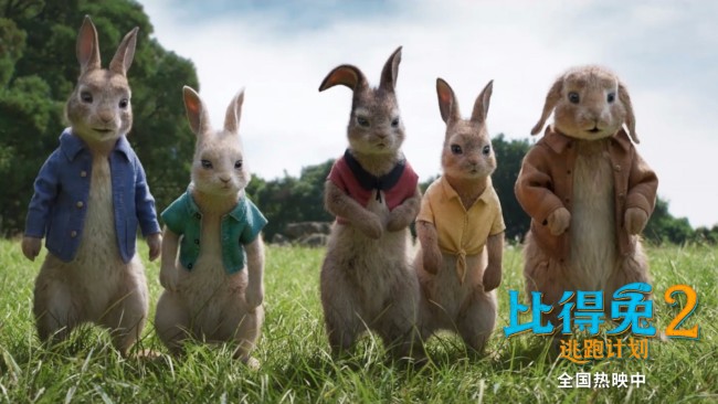 《比得兔2：逃跑计划》创年度动画喜剧电影高分