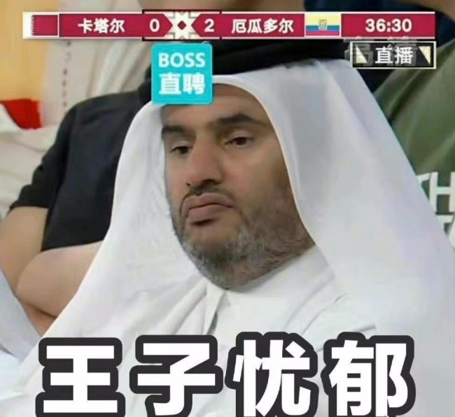 看世界杯了吗？卡塔尔王子们的表情包！