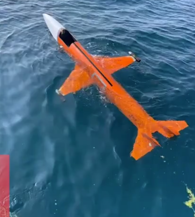 神奇啊！男子称海上钓鱼钓到“飞机”