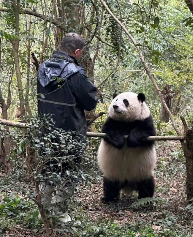 相亲相爱！谭爷爷的手机屏保是花花