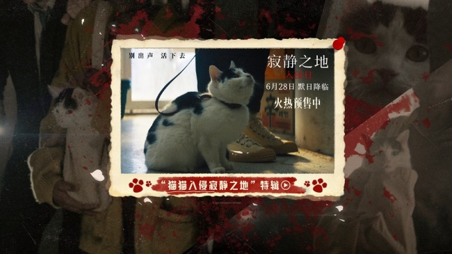 《寂静之地：入侵日》曝新特辑 猫猫入侵寂静之地