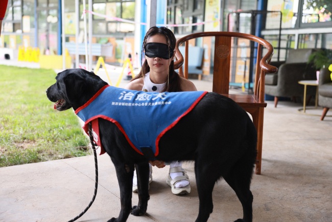 蔡依林走進西安導盲犬中心 體驗跟隨導盲犬出行