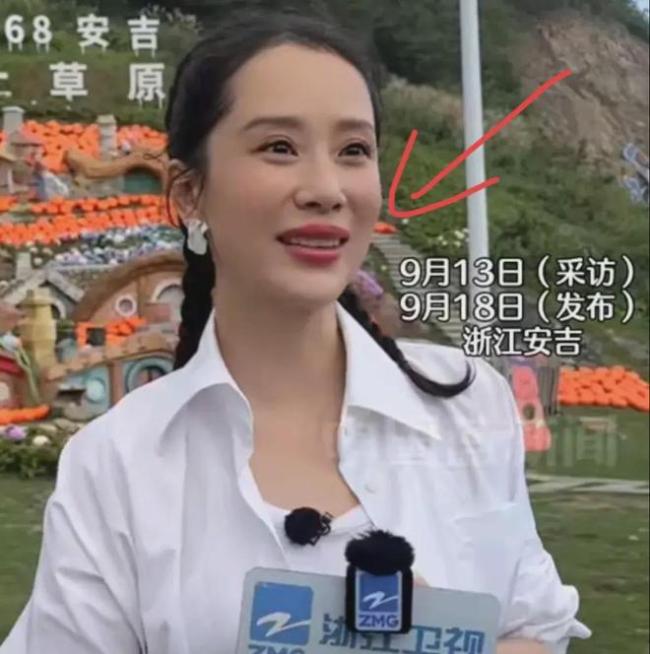 海清最近状态遭网友吐槽 质疑开了美颜还是整了容？