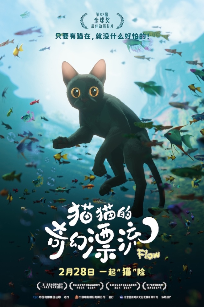 金球奖最佳动画长片《猫猫的奇幻漂流》定档2月28日 开年首部口碑萌宠佳作来袭 