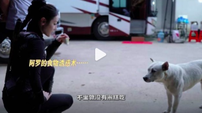 迪丽热巴私下逗狗好可爱 还会发出奇怪的声音