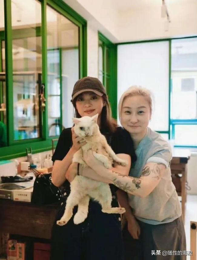 孙俪领养独眼猫!