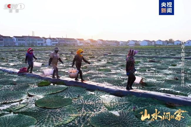 《山水间的家》新一季治愈回归，与您共赴山海新程