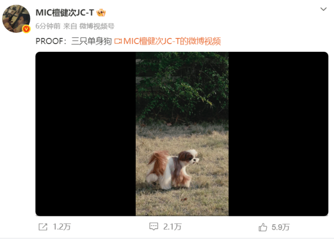 檀健次与狗狗玩耍配文 “三只独身狗” 疑否定恋情