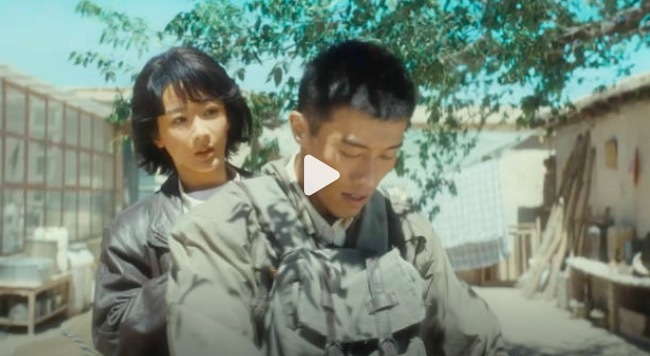 杨紫周游新剧不是迁延是爱妹