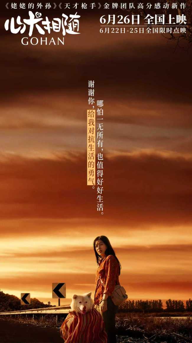 暑期首选电影《心犬相随》全国路演引爆口碑
