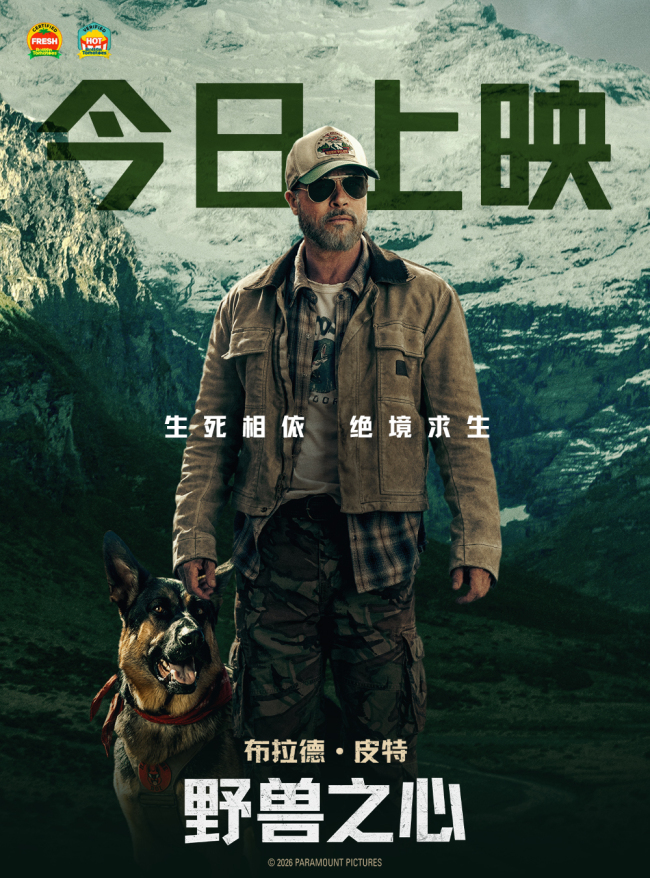 布拉德·皮特新片《野兽之心》今日上映 人犬情深奋力寻找回家之路