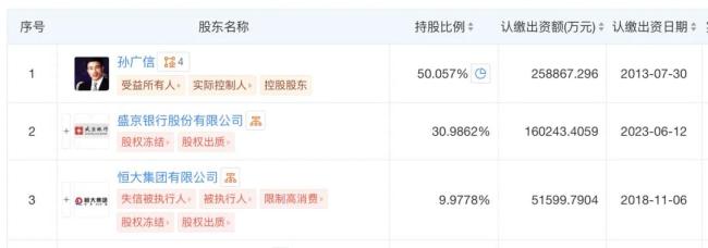  广汇集团前三位股东信息 图源/天眼查App 
