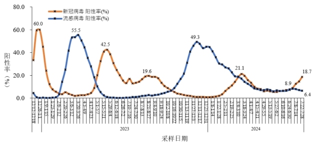 全国哨点医院流感样病例新冠和流感病毒阳性率变化趋势